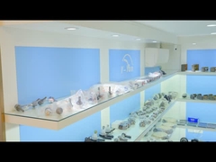 Salle d' exposition 4